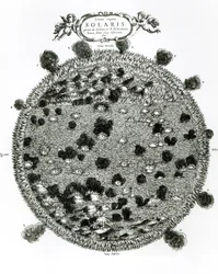 Oppervlak van de Zon met zonnevlekken, illustratie uit 